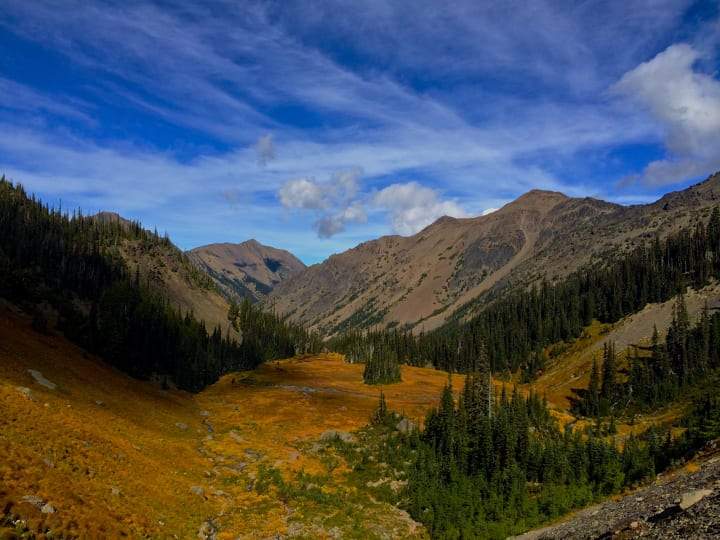 5 Amazing Fall Hikes in Olympic National Park - Ogden Made