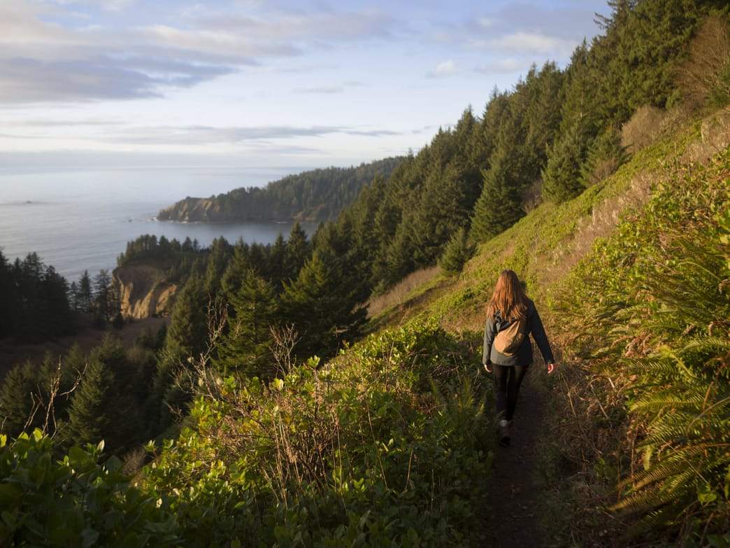 5 Hikes With Beautiful Views on the Oregon Coast - Ogden Made
