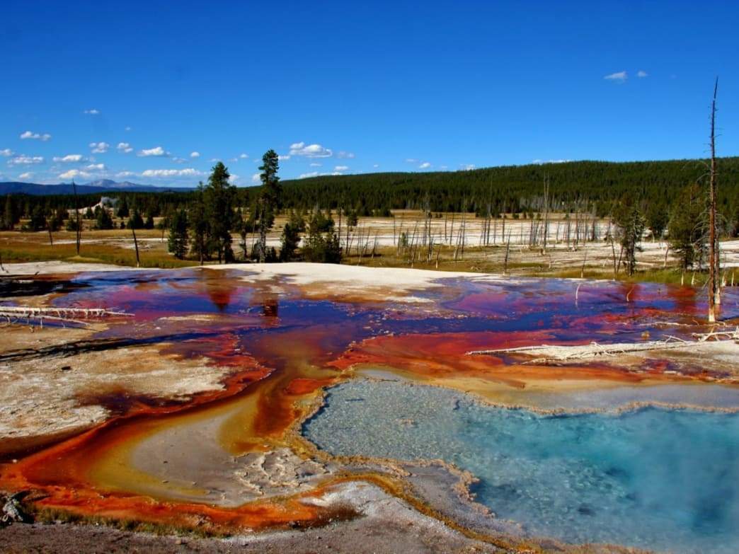 Insider's Guide to Yellowstone National Park - Ogden Made