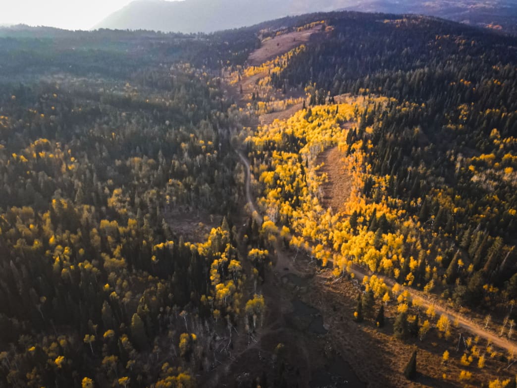 Logan Ranger District 7 Family-Friendly Outdoor Adventures in Logan - Ogden Made