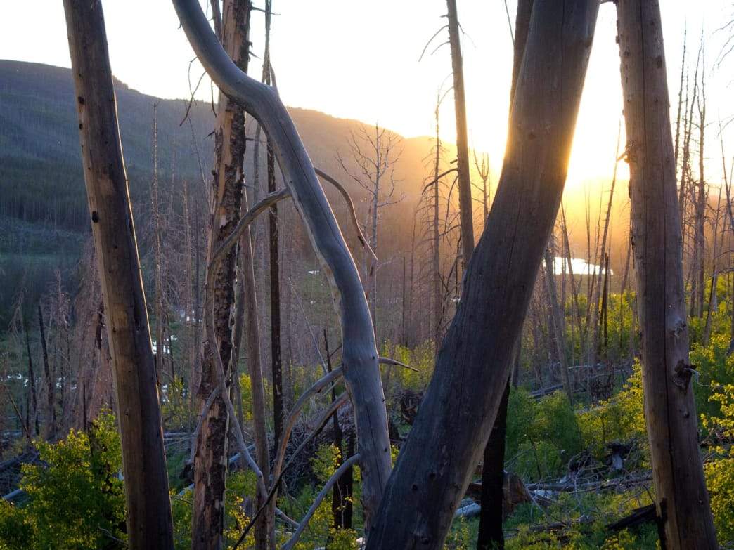 Escaping the Grid High in the Uinta Wilderness - Ogden Made