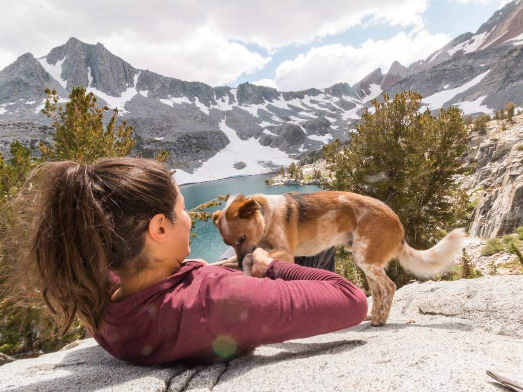 How to Travel 18,000 Miles With Your Dog - Ogden Made