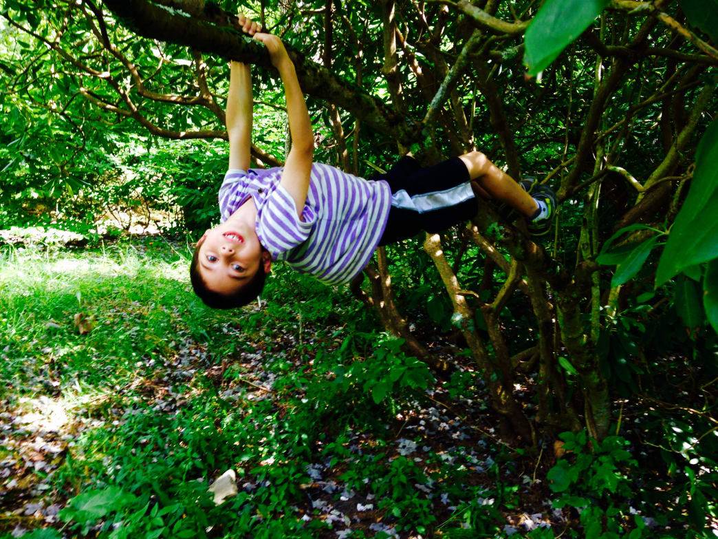 7 Tips for Camping with Kids - Ogden Made