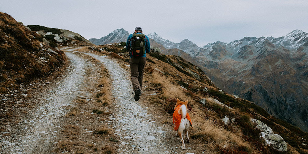 Best Sellers - Ogden Made